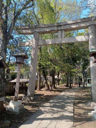 八雲氷川神社の参拝記録(トカさんさん)