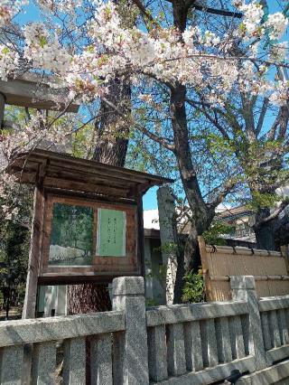 八雲氷川神社の参拝記録(トカさんさん)