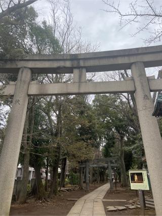 八雲氷川神社の参拝記録(⛩️🐍🐢まめ🐢🐍⛩️さん)