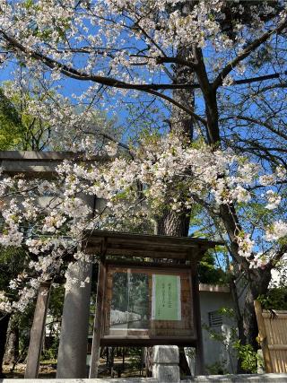 八雲氷川神社の参拝記録(ロカさん)