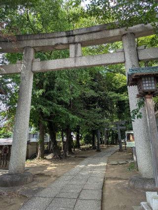 八雲氷川神社の参拝記録(はくすみさん)