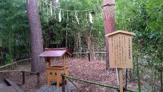 熊野神社（自由が丘･緑が丘 熊野神社）の参拝記録(オトギリルさん)