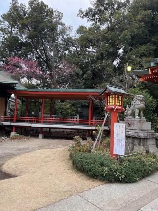 熊野神社（自由が丘･緑が丘 熊野神社）の参拝記録(⛩️🐉🐢まめ🐢🐉⛩️さん)