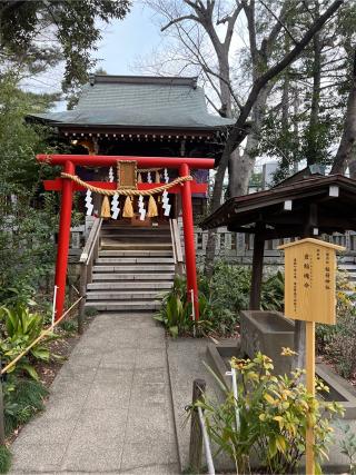 熊野神社（自由が丘･緑が丘 熊野神社）の参拝記録(⛩️🐉🐢まめ🐢🐉⛩️さん)