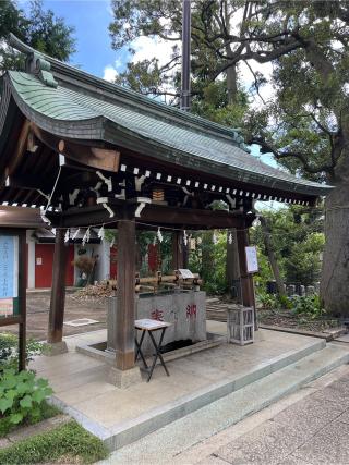 熊野神社（自由が丘･緑が丘 熊野神社）の参拝記録(⛩️🐍🐢まめ🐢🐍⛩️さん)