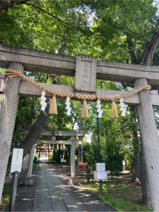 熊野神社（自由が丘･緑が丘 熊野神社）の参拝記録(⛩️🐍🐢まめ🐢🐍⛩️さん)