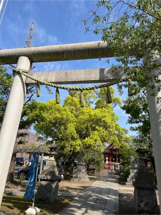 徳持神社の参拝記録(⛩️🎠🐢まめ🐢🎠⛩️さん)