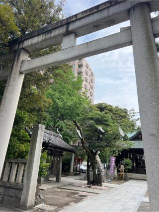 浅間神社の参拝記録(⛩️🐍🐢まめ🐢🐍⛩️さん)