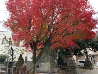 貴舩神社の参拝記録(金髪しんちゃんさん)