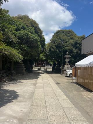 貴舩神社の参拝記録(⛩️🐍🐢まめ🐢🐍⛩️さん)