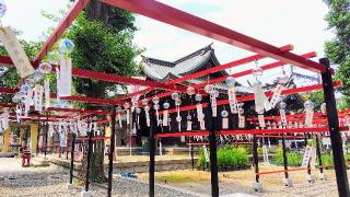 磐井神社の参拝記録(オトギリルさん)