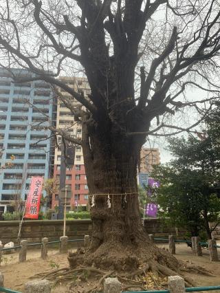 磐井神社の参拝記録(金髪しんちゃんさん)