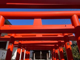 子安八幡神社の参拝記録(ハコさん)