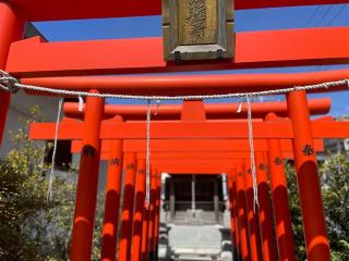 子安八幡神社の参拝記録(ハコさん)