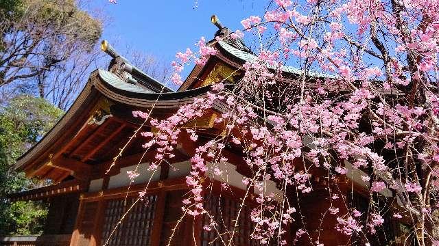 新田神社の参拝記録8