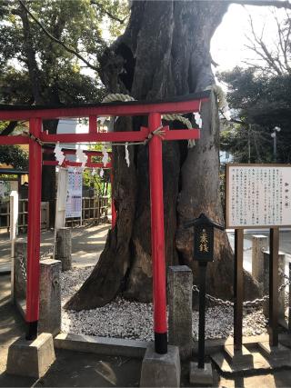新田神社の参拝記録(ミィ🎀さん)