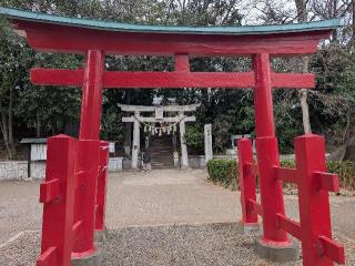 千束八幡神社（洗足池八幡神社）の参拝記録(おがおが1262さん)