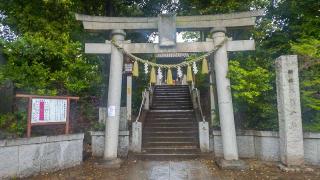 千束八幡神社（洗足池八幡神社）の参拝記録(まっちゃんさん)