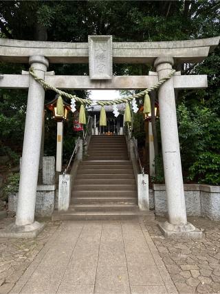 千束八幡神社（洗足池八幡神社）の参拝記録(gragrayasさん)