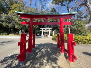 千束八幡神社（洗足池八幡神社）の参拝記録(ハコさん)