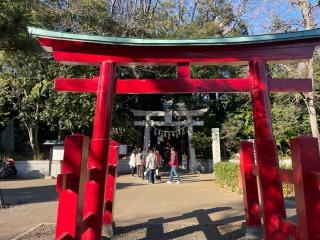 千束八幡神社（洗足池八幡神社）の参拝記録(ハコさん)