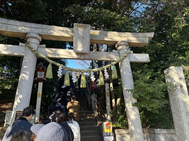 千束八幡神社（洗足池八幡神社）の参拝記録10