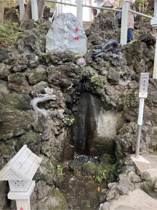 多摩川浅間神社の参拝記録(⛩️🐉🐢まめ🐢🐉⛩️さん)