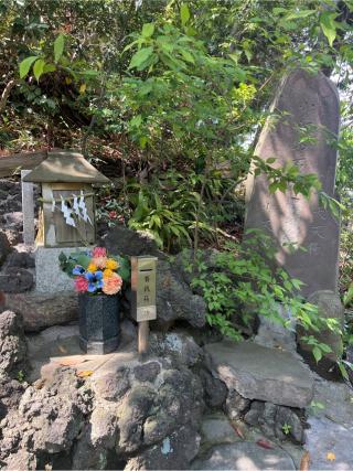 多摩川浅間神社の参拝記録(⛩️🐍🐢まめ🐢🐍⛩️さん)