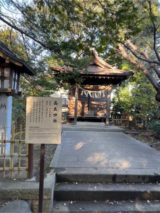 世田谷八幡宮の参拝記録(⛩️🐍🐢まめ🐢🐍⛩️さん)