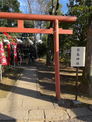 世田谷八幡宮の参拝記録(⛩️🐍🐢まめ🐢🐍⛩️さん)