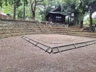 世田谷八幡宮の参拝記録(まーさんさん)