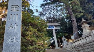 玉川神社（等々力玉川神社）の参拝記録(miyumikoさん)
