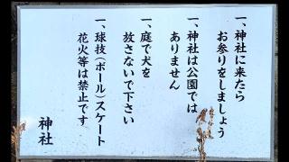 玉川神社（等々力玉川神社）の参拝記録(miyumikoさん)