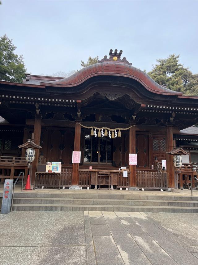 玉川神社（等々力玉川神社）の参拝記録4