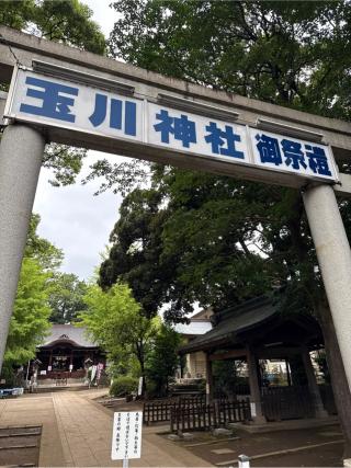 玉川神社（等々力玉川神社）の参拝記録(⛩️🐍🐢まめ🐢🐍⛩️さん)