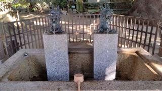 玉川神社（等々力玉川神社）の参拝記録(Daisy ♂さん)