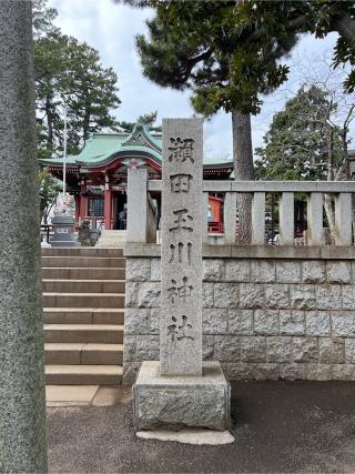 瀬田玉川神社の参拝記録(⛩️🐍🐢まめ🐢🐍⛩️さん)