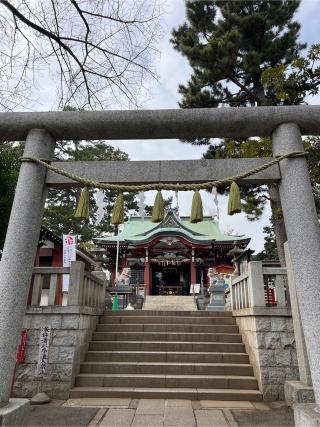 瀬田玉川神社の参拝記録(⛩️🐍🐢まめ🐢🐍⛩️さん)