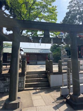 瀬田玉川神社の参拝記録(⛩️🐍🐢まめ🐢🐍⛩️さん)