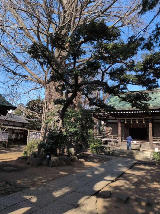 奥澤神社の参拝記録10