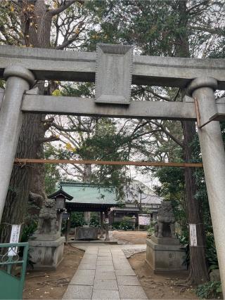 奥澤神社の参拝記録(⛩️🐍🐢まめ🐢🐍⛩️さん)