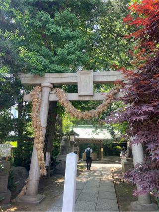 奥澤神社の参拝記録(⛩️🐍🐢まめ🐢🐍⛩️さん)