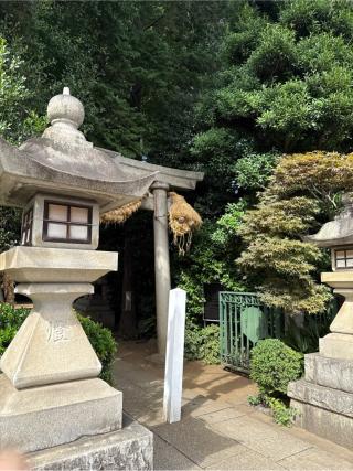 奥澤神社の参拝記録(⛩️🐍🐢まめ🐢🐍⛩️さん)