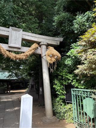 奥澤神社の参拝記録(⛩️🐍🐢まめ🐢🐍⛩️さん)