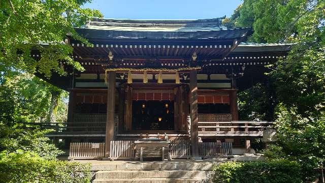 奥澤神社の参拝記録8