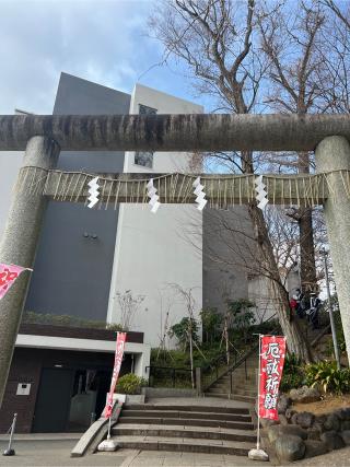 駒繋神社の参拝記録(⛩️🐉🐢まめ🐢🐉⛩️さん)