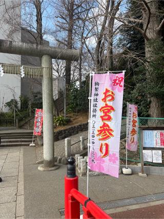 駒繋神社の参拝記録(⛩️🐉🐢まめ🐢🐉⛩️さん)