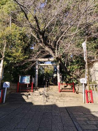 六所神社（赤堤六所神社）の参拝記録(naniさん)