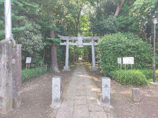 氷川神社（喜多見氷川神社）の参拝記録(パンパースさん)