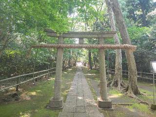 氷川神社（喜多見氷川神社）の参拝記録(パンパースさん)